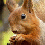 446.gif
