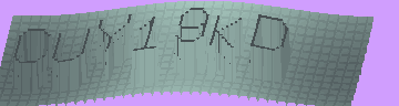 CAPTCHA 認証コード
