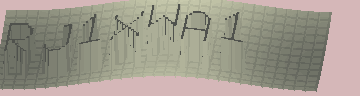 CAPTCHA 認証コード