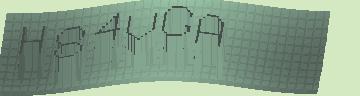 CAPTCHA 認証コード