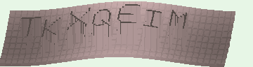 CAPTCHA 認証コード