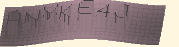 CAPTCHA 認証コード
