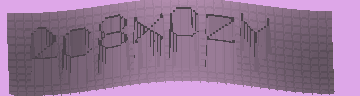 CAPTCHA 認証コード