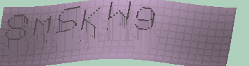 CAPTCHA 認証コード