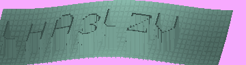 CAPTCHA 認証コード