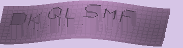 CAPTCHA 認証コード