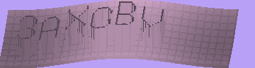 CAPTCHA 認証コード