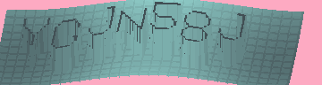 CAPTCHA 認証コード