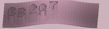 CAPTCHA 認証コード