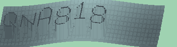CAPTCHA 認証コード