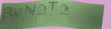 CAPTCHA 認証コード