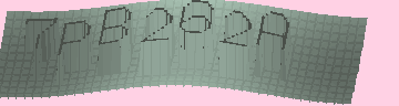 CAPTCHA 認証コード