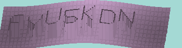 CAPTCHA 認証コード