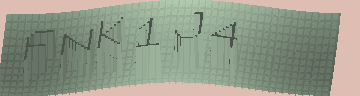 CAPTCHA 認証コード