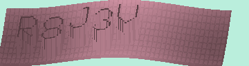 CAPTCHA 認証コード