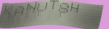 CAPTCHA 認証コード