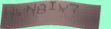 CAPTCHA 認証コード