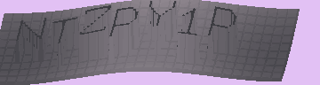 CAPTCHA 認証コード