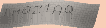 CAPTCHA 認証コード