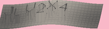 CAPTCHA 認証コード