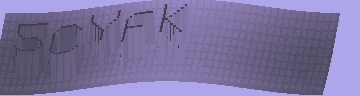 CAPTCHA 認証コード