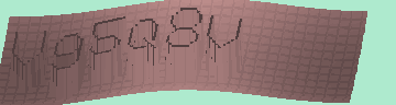 CAPTCHA 認証コード