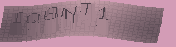 CAPTCHA 認証コード