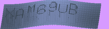 CAPTCHA 認証コード