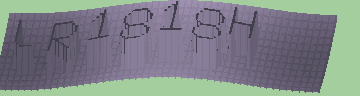 CAPTCHA 認証コード