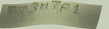 CAPTCHA 認証コード