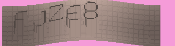 CAPTCHA 認証コード
