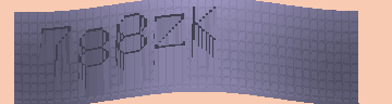 CAPTCHA 認証コード