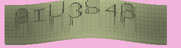 CAPTCHA 認証コード