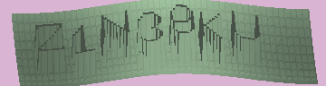 CAPTCHA 認証コード