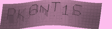 CAPTCHA 認証コード