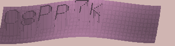 CAPTCHA 認証コード