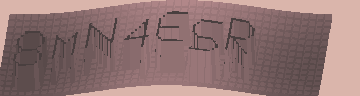 CAPTCHA 認証コード