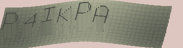 CAPTCHA 認証コード