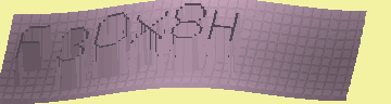 CAPTCHA 認証コード