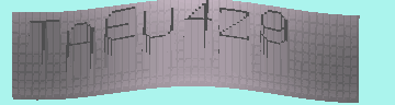 CAPTCHA 認証コード