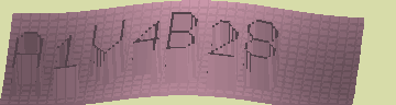 CAPTCHA 認証コード