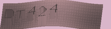 CAPTCHA 認証コード