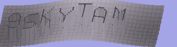 CAPTCHA 認証コード