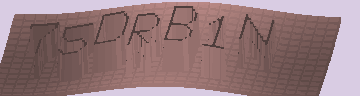 CAPTCHA 認証コード