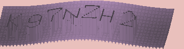 CAPTCHA 認証コード