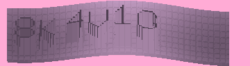 CAPTCHA 認証コード