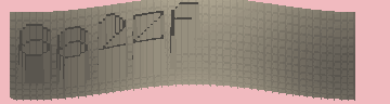CAPTCHA 認証コード