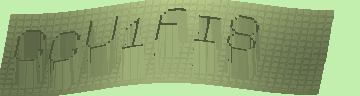CAPTCHA 認証コード