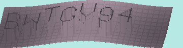 CAPTCHA 認証コード