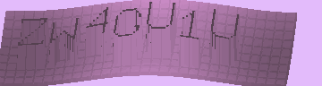 CAPTCHA 認証コード